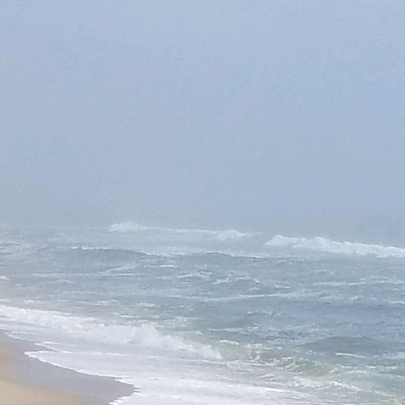 Meet your Posher, Rocky - Picture 1 of 1